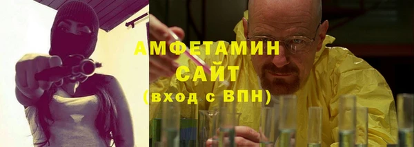 сатива Белокуриха