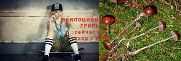 индика Балабаново