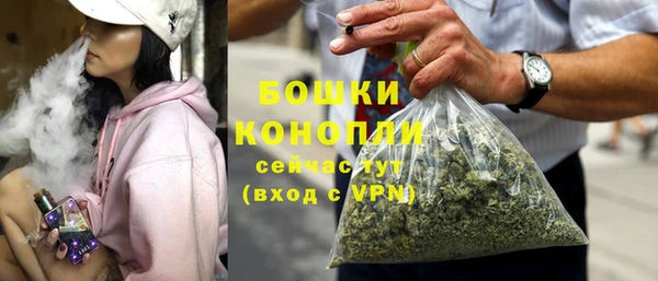 индика Балабаново
