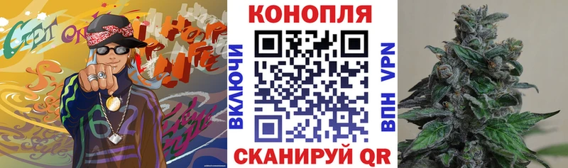 закладки  Печора  Конопля план 
